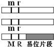 作业帮