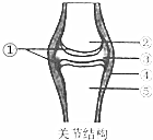 作业帮