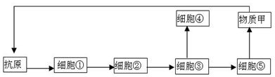 作业帮