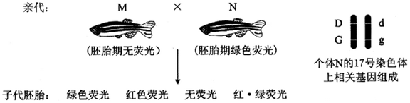 作业帮