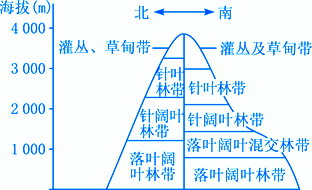 如图为我国东部某山地垂直自然带分布.读图,回答下题.