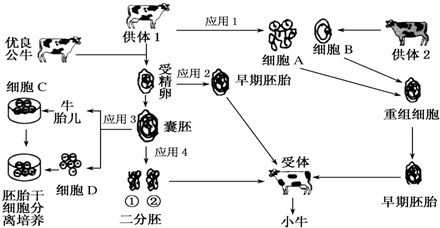 作业帮