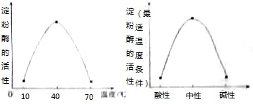 作业帮