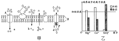 作业帮