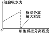 作业帮