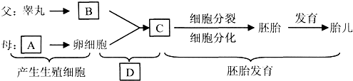 作业帮