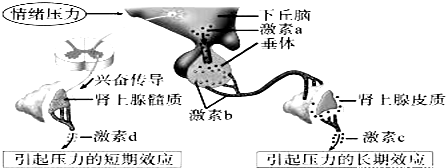 作业帮