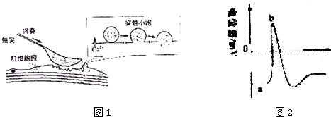 作业帮