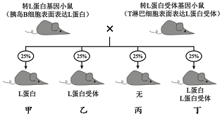 作业帮