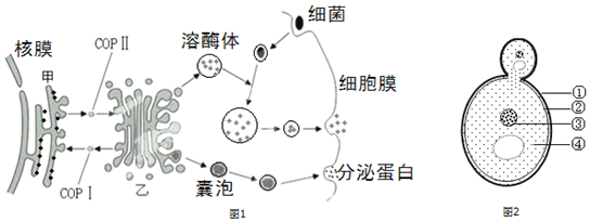 作业帮