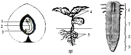 作业帮