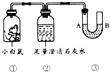 作业帮