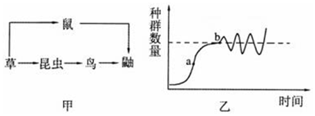 作业帮