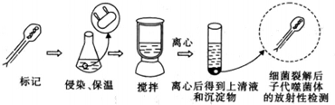 作业帮