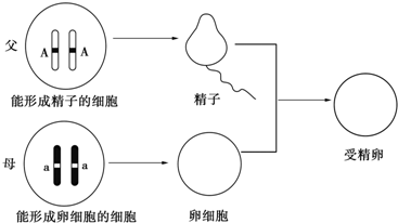 作业帮