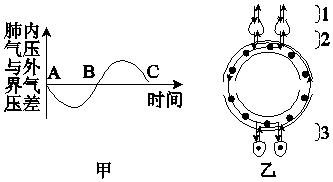 作业帮