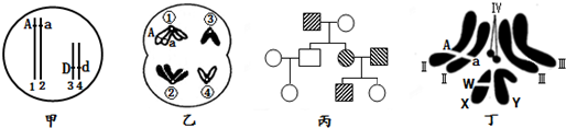 作业帮