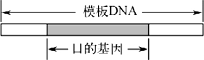 作业帮