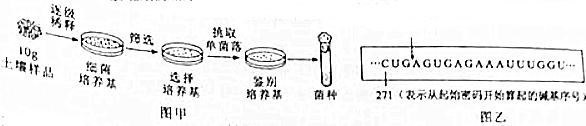 作业帮