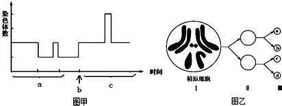 作业帮