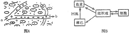 作业帮