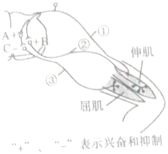 作业帮