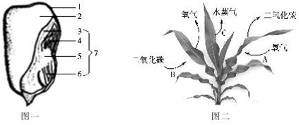 作业帮