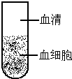 作业帮