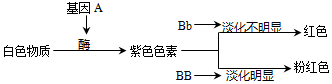 作业帮