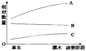 作业帮