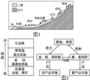 作业帮