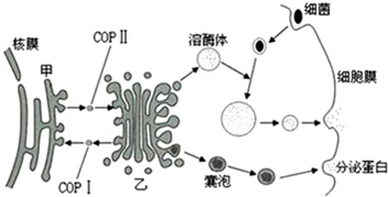 作业帮