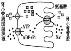 作业帮