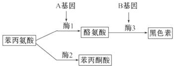 作业帮