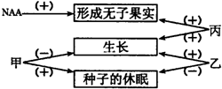 作业帮