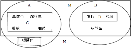 作业帮