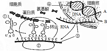 作业帮