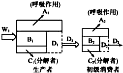 作业帮