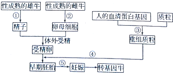 作业帮