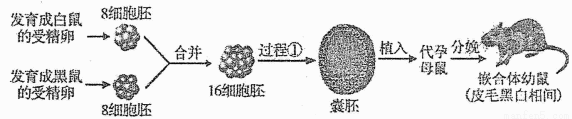 满分5 manfen5.com