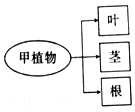 作业帮