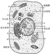 作业帮