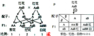 作业帮