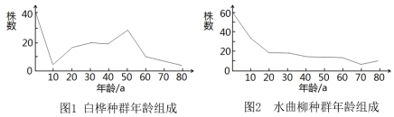 作业帮