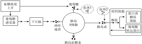 作业帮