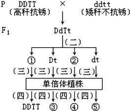 作业帮