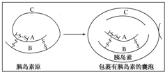 作业帮