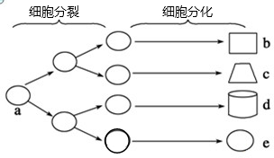 作业帮