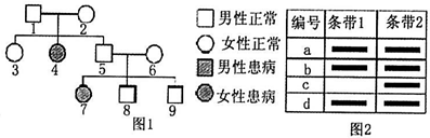 作业帮