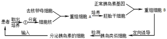 作业帮